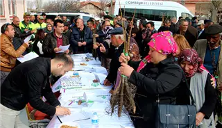 KÖYLERİMİZE DESTEK: 1500 CEVİZ FİDANI DAĞITIMI PROJESİ